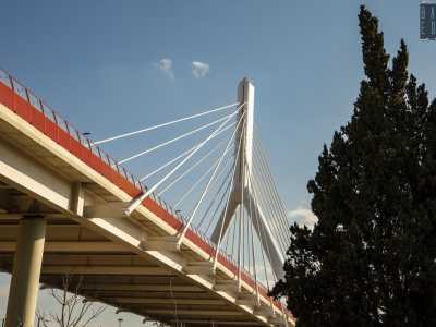 Sulla nostra testa invece si erge il bianco pilone a �y capovolta� che incorona il punto pi� alto del ponte Adriatico, da cui si irradiano gli stralli ad arpa di sostegno